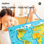 DIDELIS MAGNETINIS PASAULIO ŽEMĖLAPIS / DĖLIONĖ