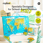 DIDELIS MAGNETINIS PASAULIO ŽEMĖLAPIS / DĖLIONĖ