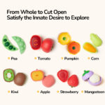 MODELINO LIPDYMO RINKINYS - VAISIAI IR DARŽOVĖS