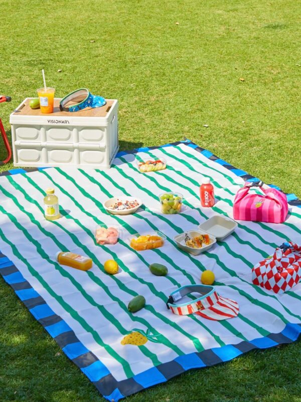 Vandeniui atsparus pikniko kilimėlis "Summit Bazaar"